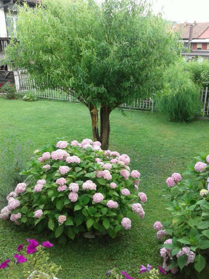 Apartment Elma Visoko Luaran gambar